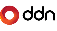 DDN Logo